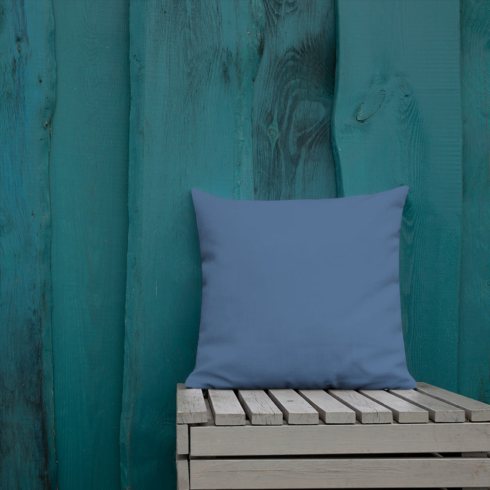 Decorative Pillows, Throw Pillows