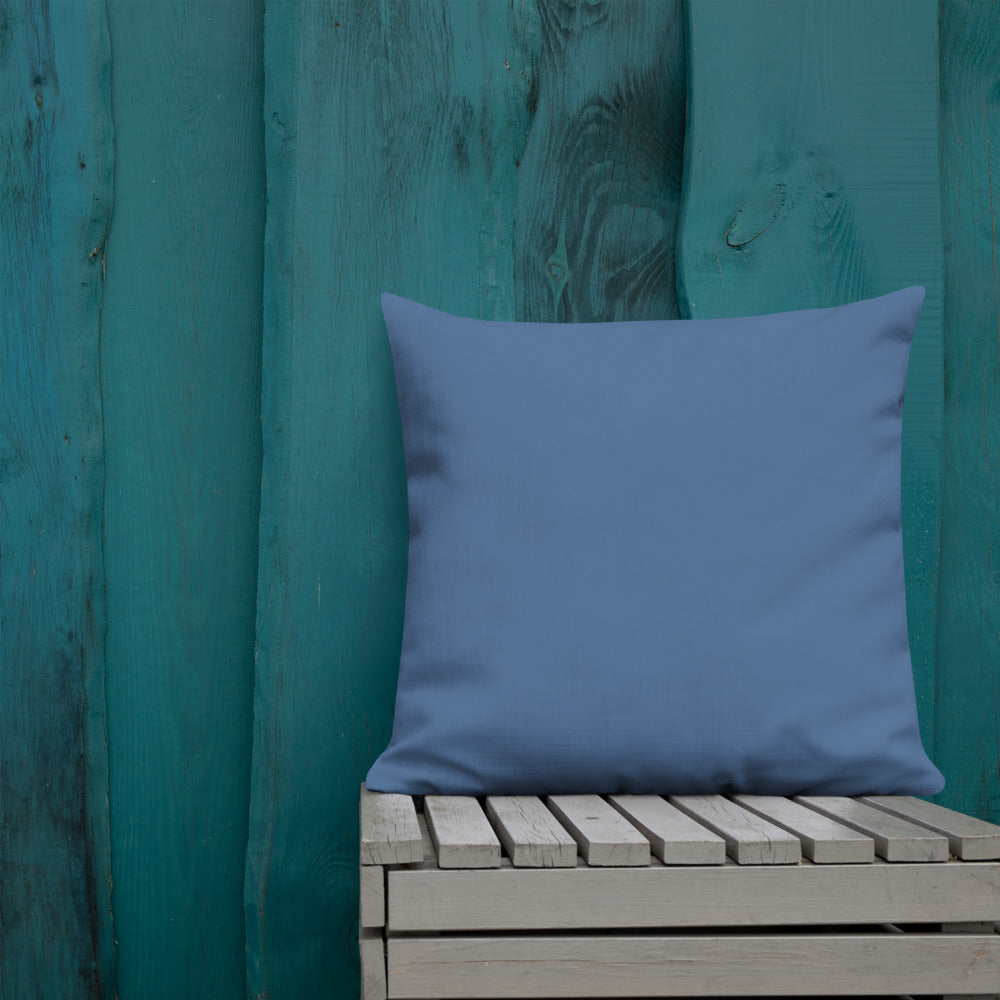 Decorative Pillows, Throw Pillows