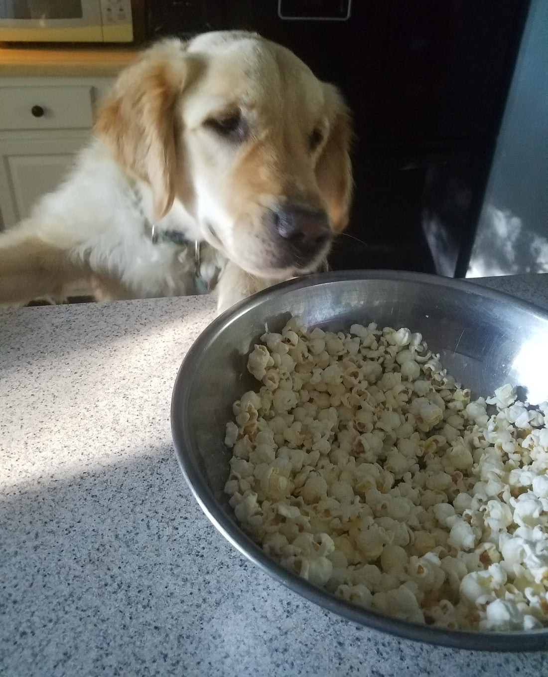Popcorn..yummy