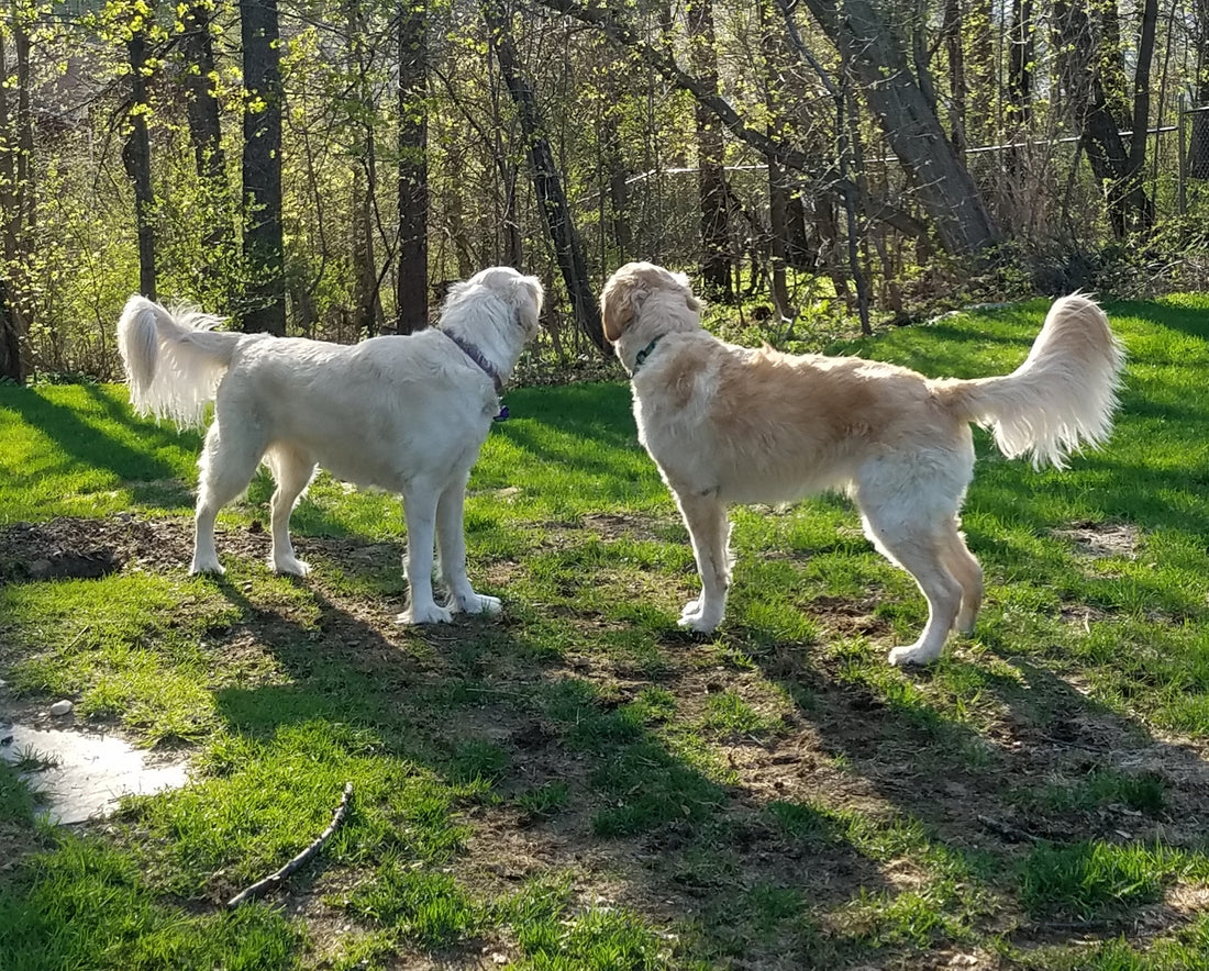 Beautiful Spring Day!