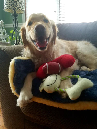 Discover the Incredible Benefits of Walking Your Dog🐶🏈⚾️😄