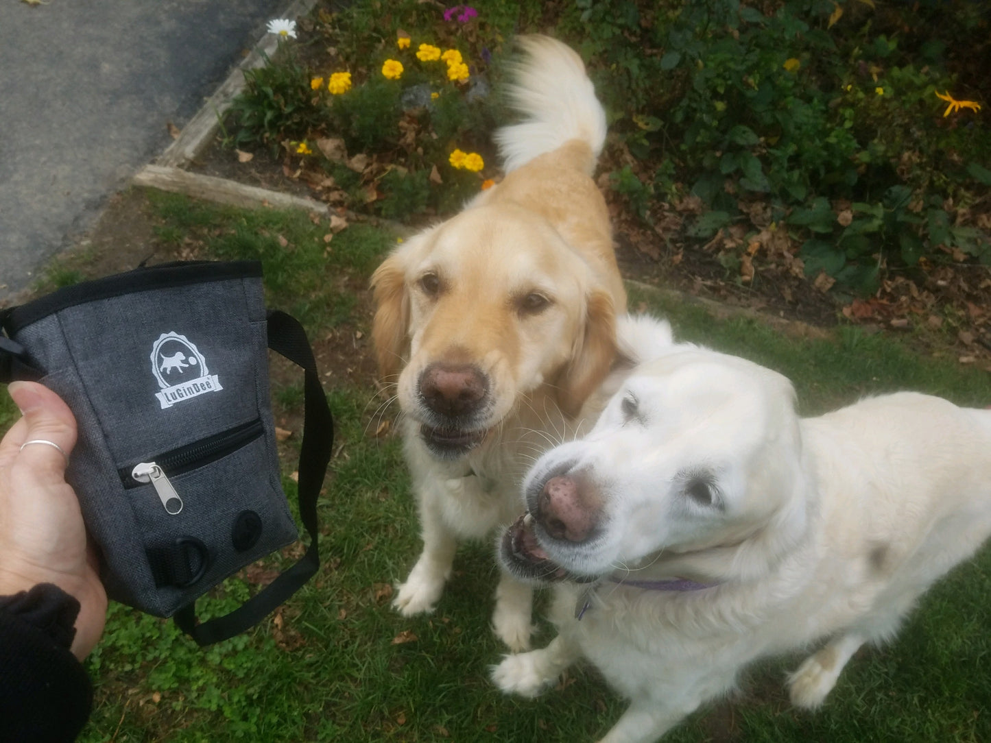 Lugindee Dog Treat Pouch| Lulu Belles Gallery & Unique Gifts | LuGinDee