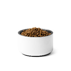 Pet  Bowls | LuGinDee