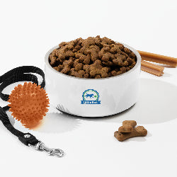 Lugindee pet bowls | LuGinDee