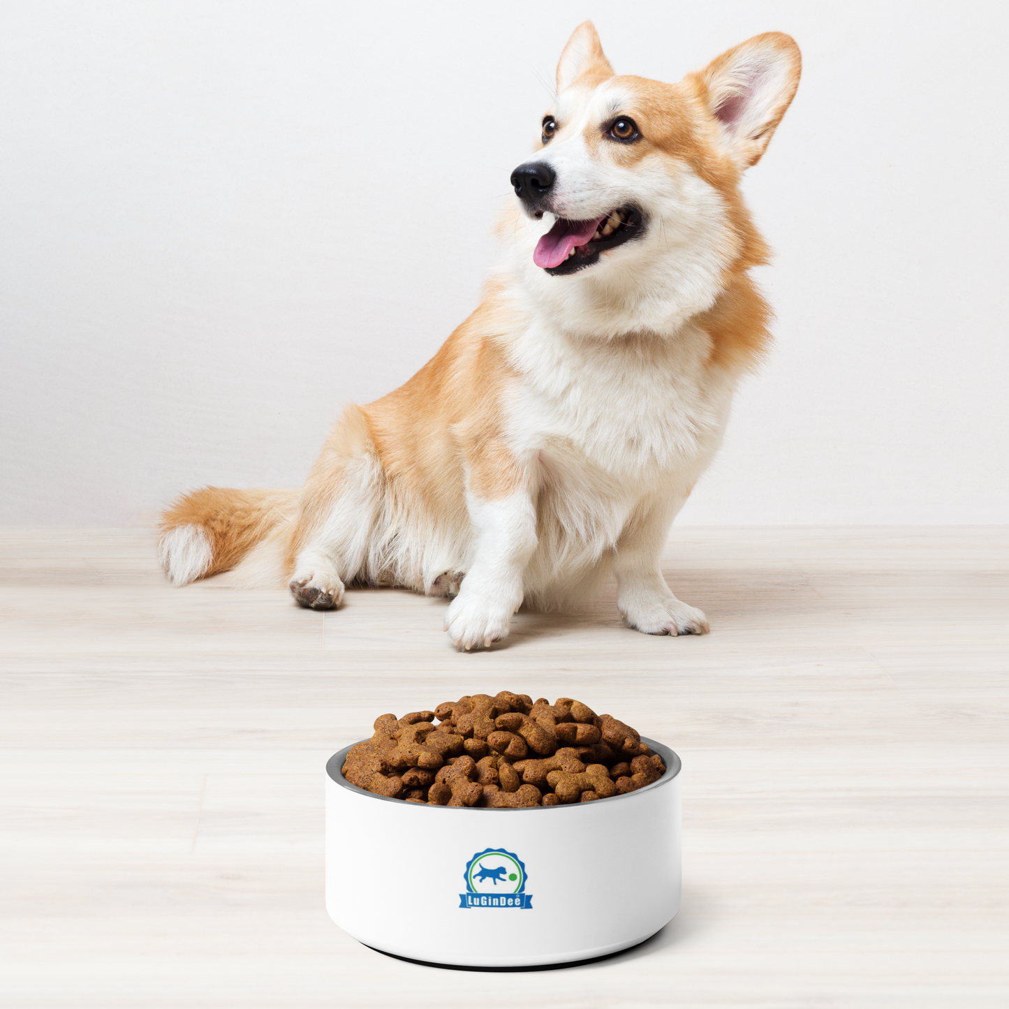 Lugindee pet bowls | LuGinDee